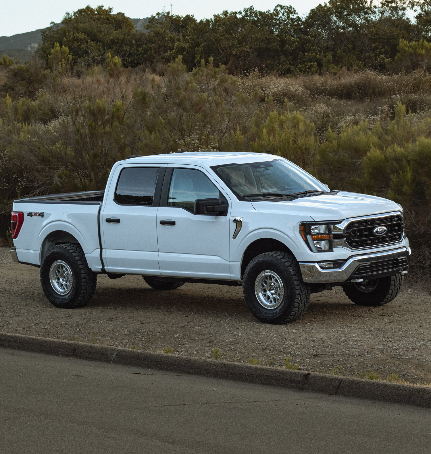 F-150 2004-2024 Big-D Tow Hooks