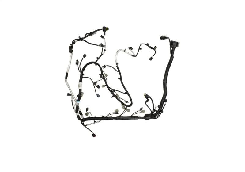 Photo - Unmounted