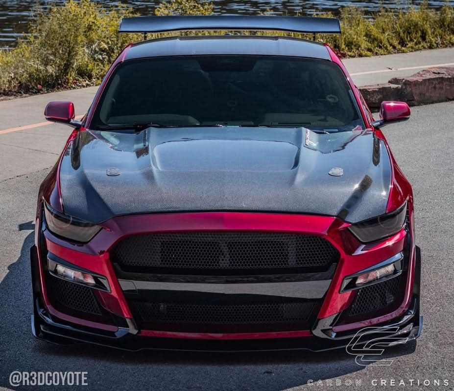 2015-2017 Ford Mustang GT350 Look Hood - Carbon Fiber