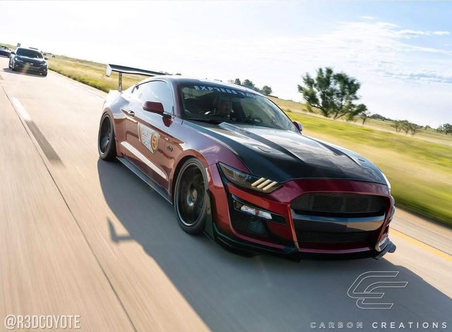 2015-2017 Ford Mustang GT350 Look Hood - Carbon Fiber