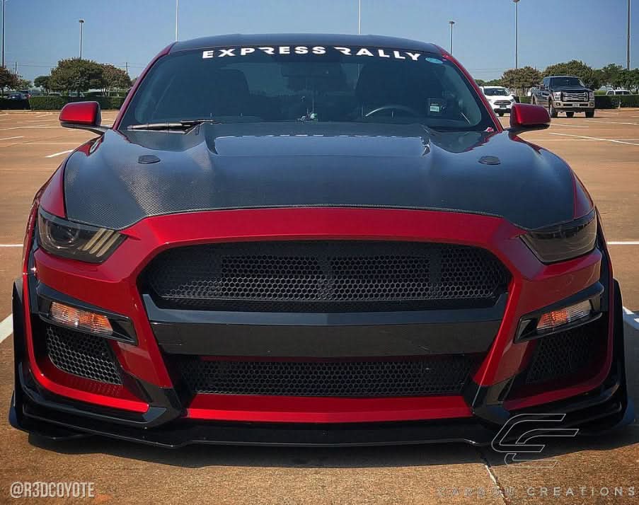 2015-2017 Ford Mustang GT350 Look Hood - Carbon Fiber
