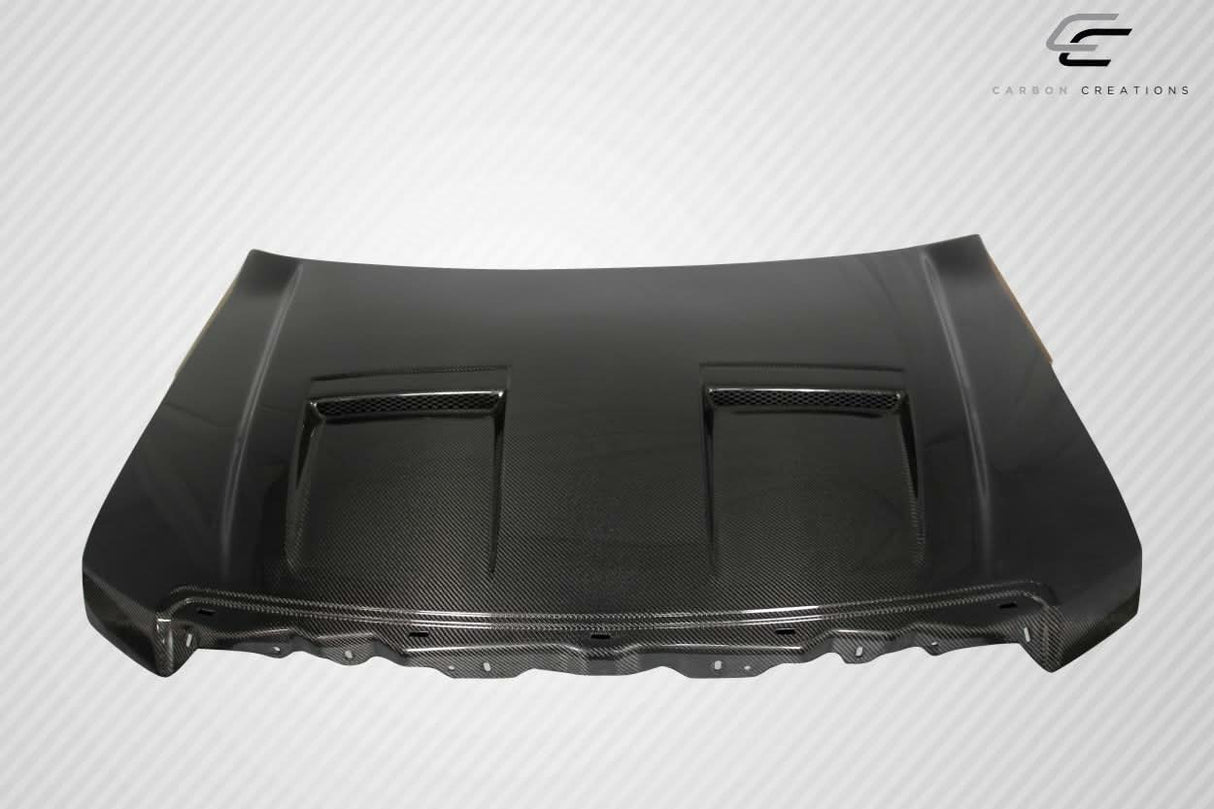 2009-2014 Ford F-150 DriTech Style Ram Air Hood - Carbon Fiber