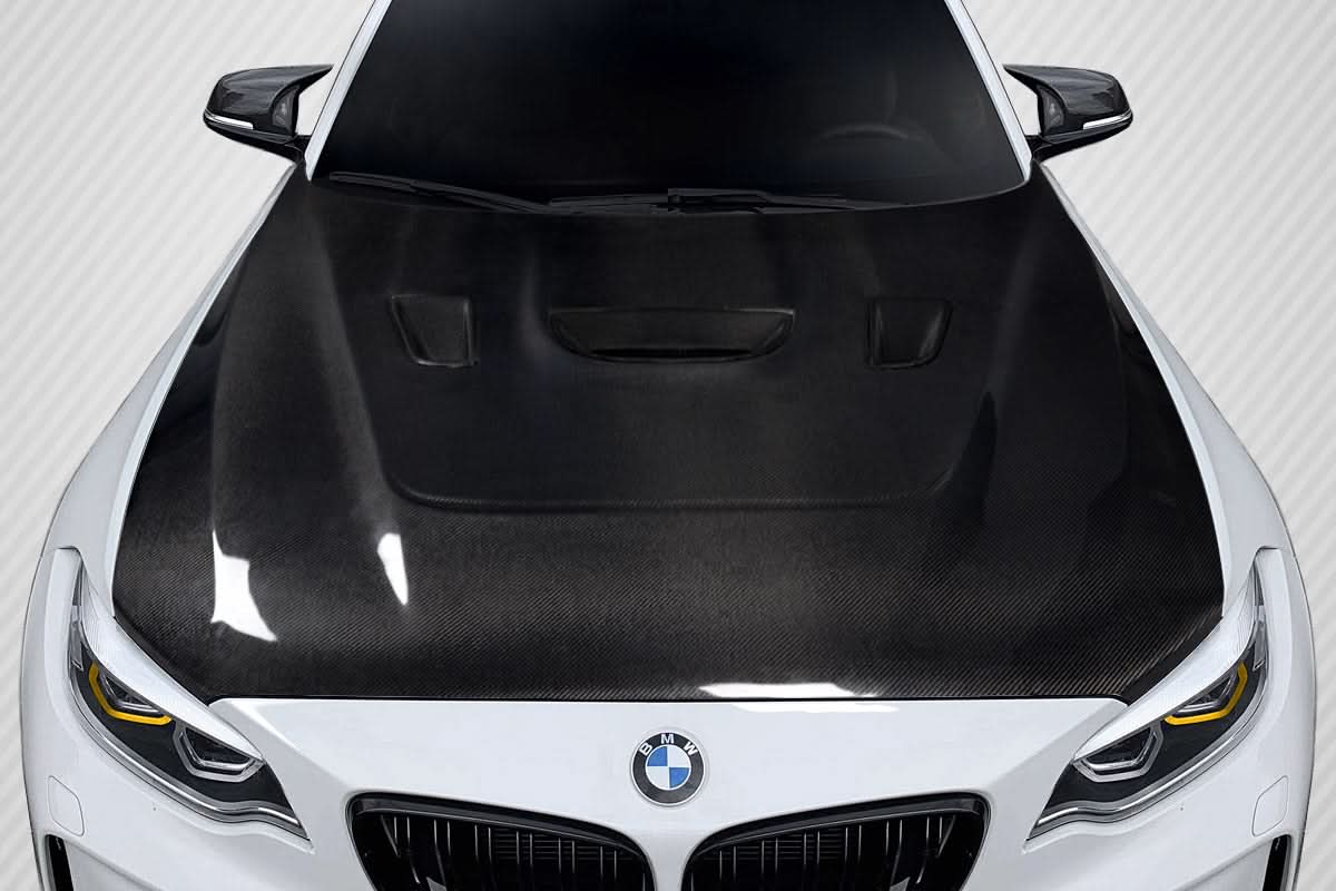 2014-2021 BMW 2 Series / M2 Power Dynamics Style Hood - Carbon Fiber