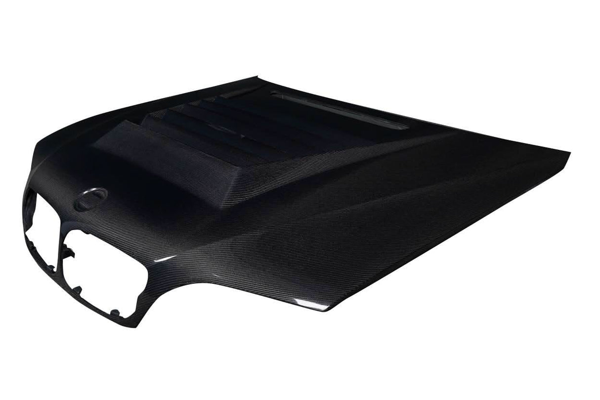 2002-2005 BMW 3 Series E46 D-1 Style Hood - Carbon Fiber