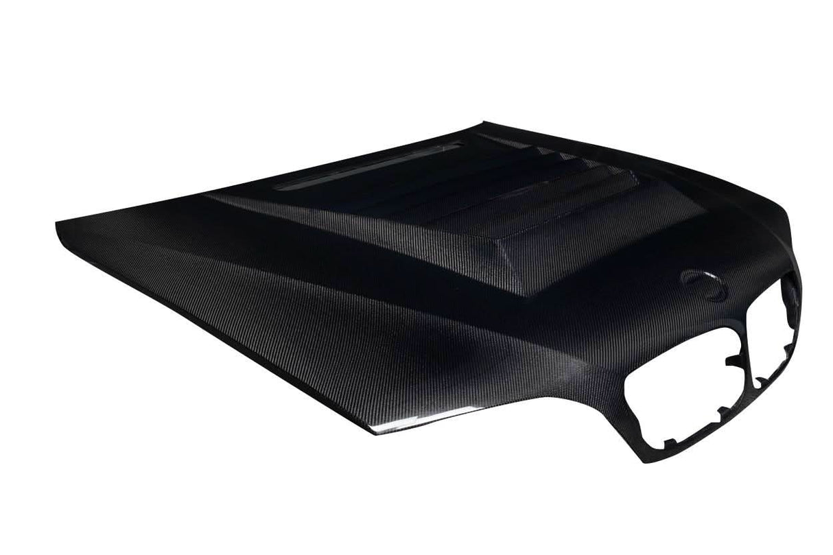 2002-2005 BMW 3 Series E46 D-1 Style Hood - Carbon Fiber