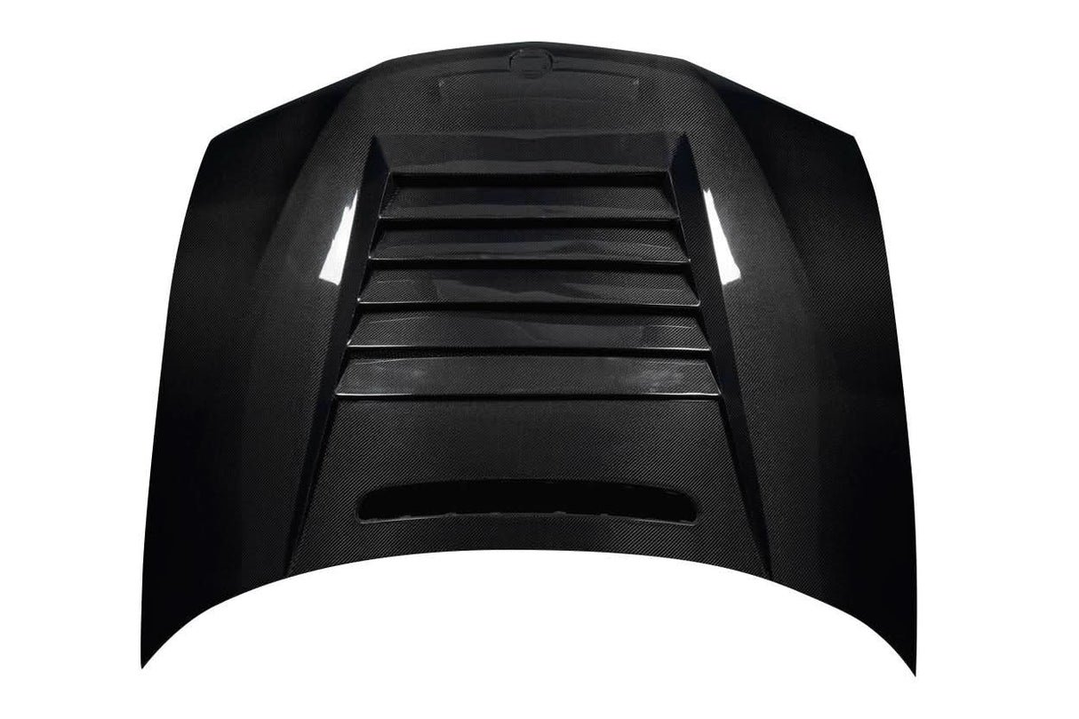 2002-2005 BMW 3 Series E46 D-1 Style Hood - Carbon Fiber