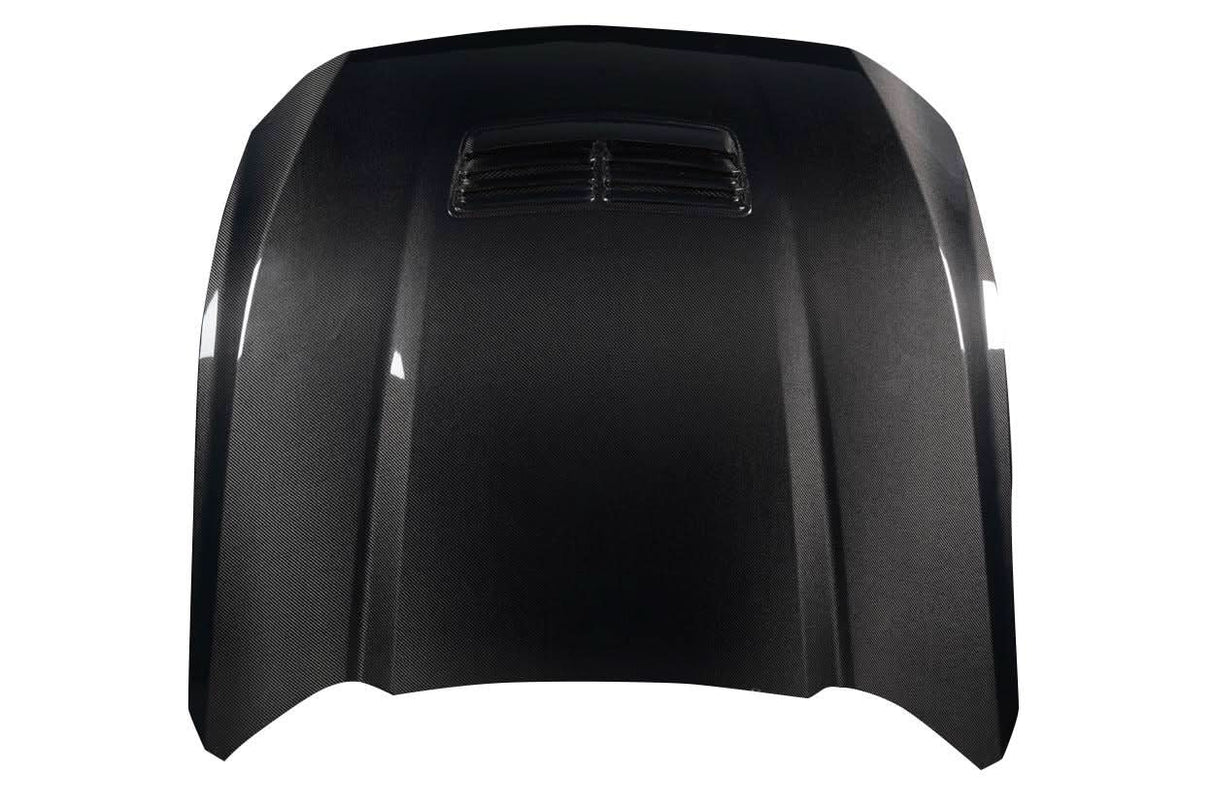 2024-2025 Ford Mustang GT OEM Look Hood - Carbon Fiber