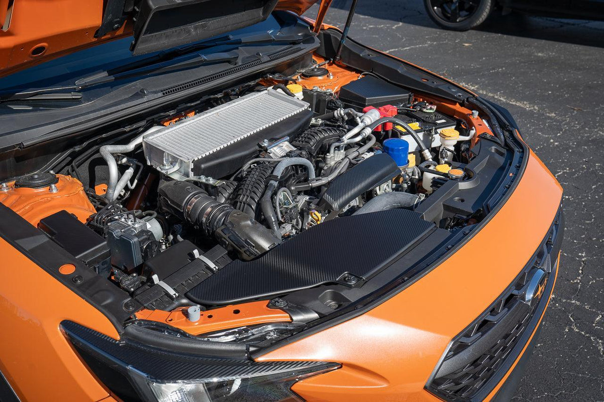 3D Carbon Alternator Pully Cover Overlay fits 2022+ Subaru WRX