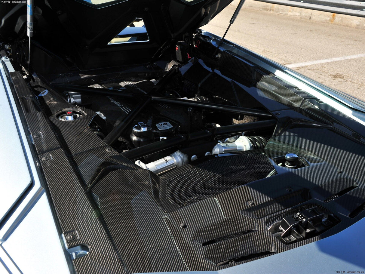 2011-2016 Lamborghini Aventador LP700 Coupe Carbon Fiber Engine Bay Trim Cover Rear Replacement