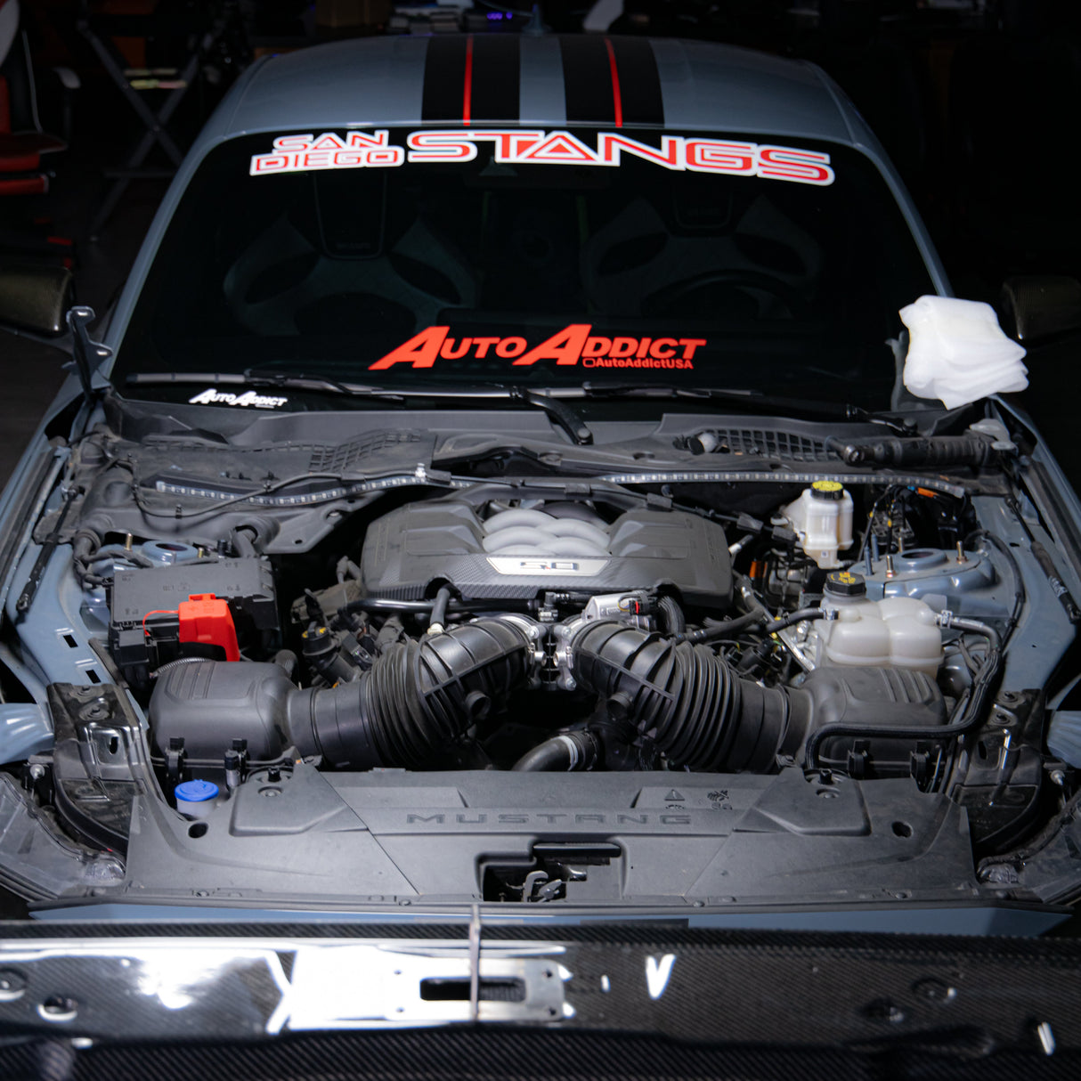 2024-2025 Mustang S650 Type-LM Carbon Fiber Double Sided Hood