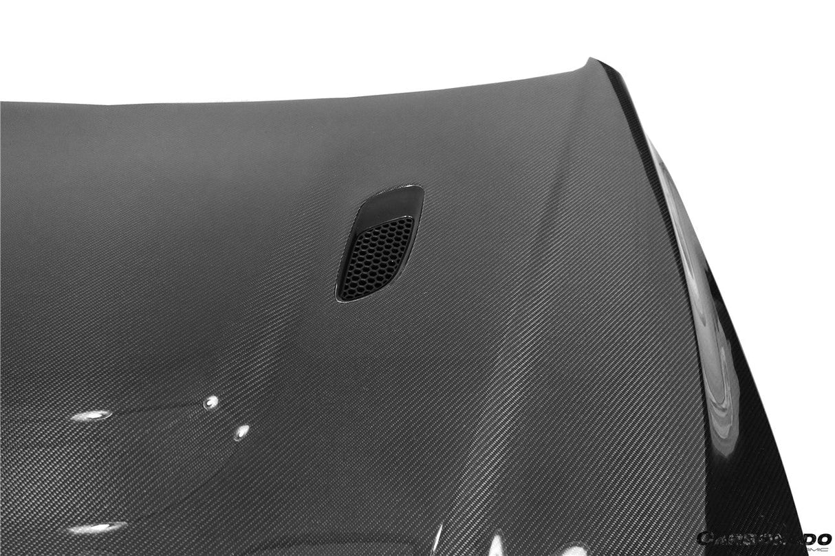 2013-2019 BMW 3 Series F30 F35 VX Style Hood