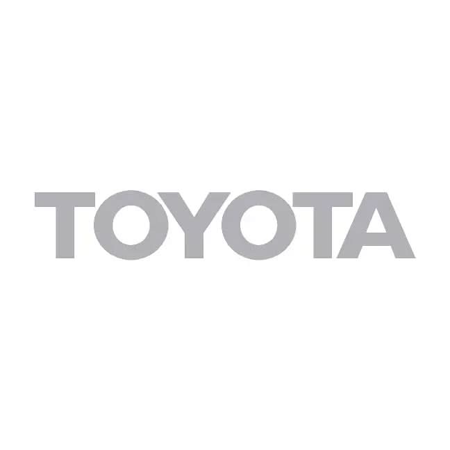 TOYOTA Emergency Reflective Rear Tailgate Emblem Overlays - 2024+ Land Cruiser