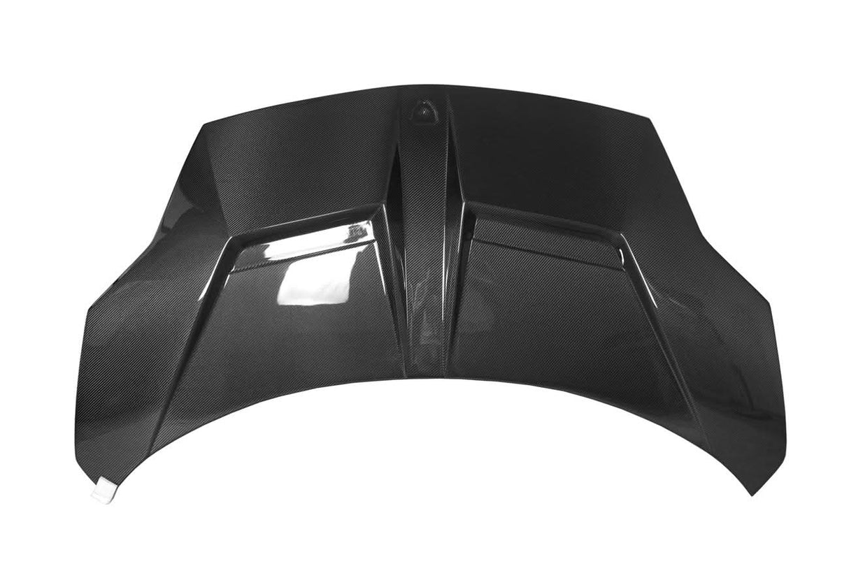 2009-2014 Lamborghini Gallardo IRON Style Hood