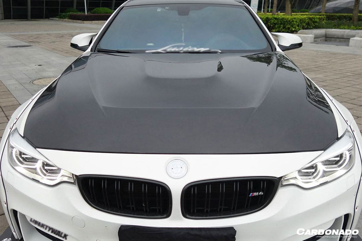 2014-2020 BMW F80 M3 | F82 M4 GTS Design Carbon Fiber Hood