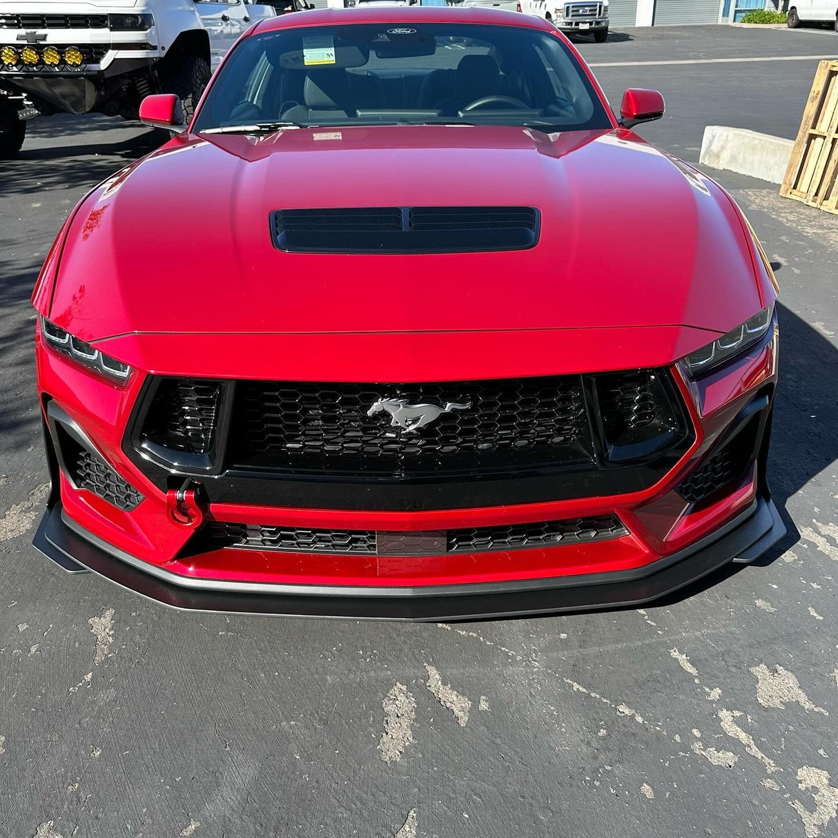 Mustang 24-25 GT/ECO Standard Splitter