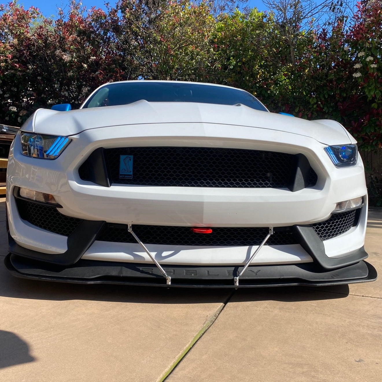 Mustang 16-20 GT350 GT4 Tow Hook