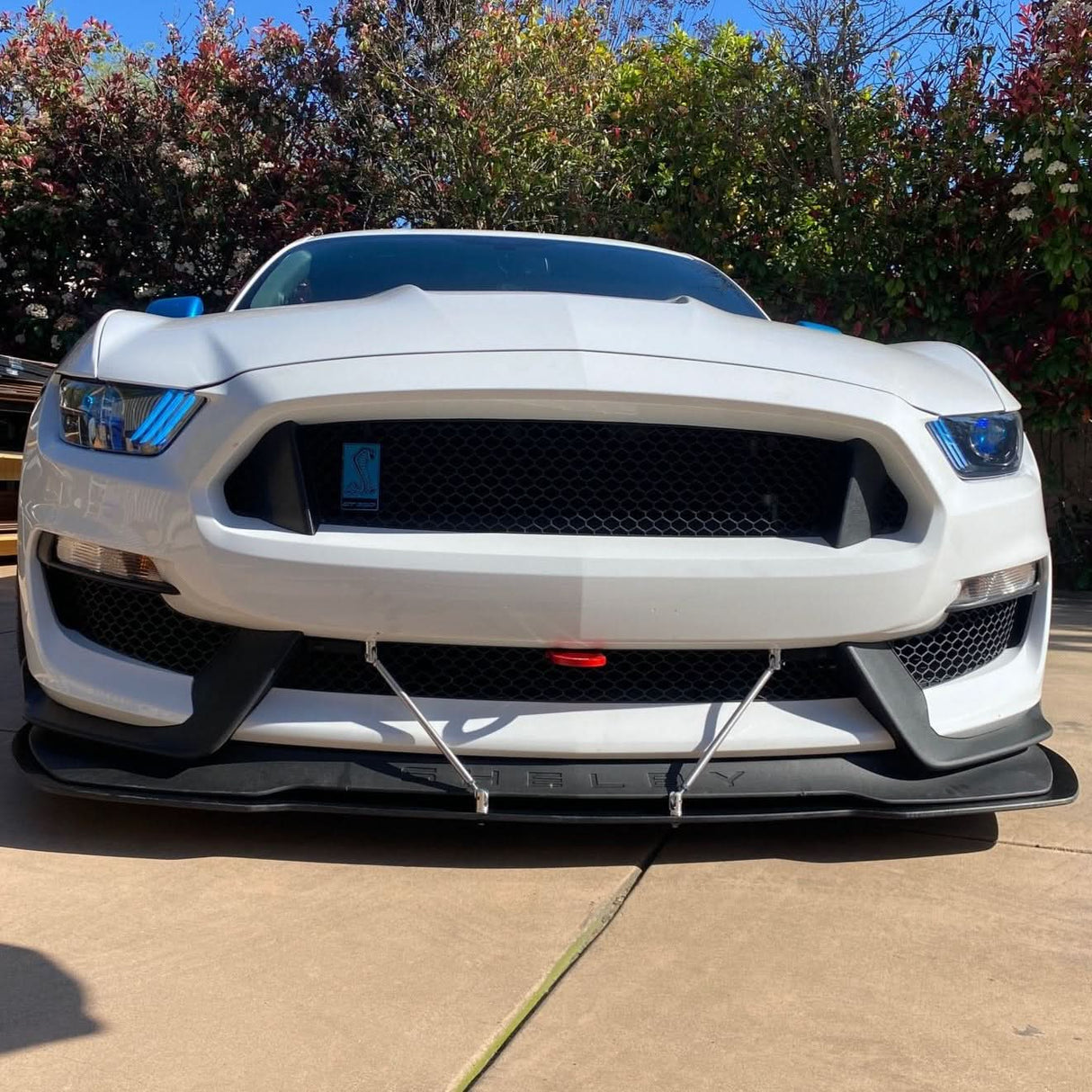 Mustang 16-20 GT350 GT4 Tow Hook