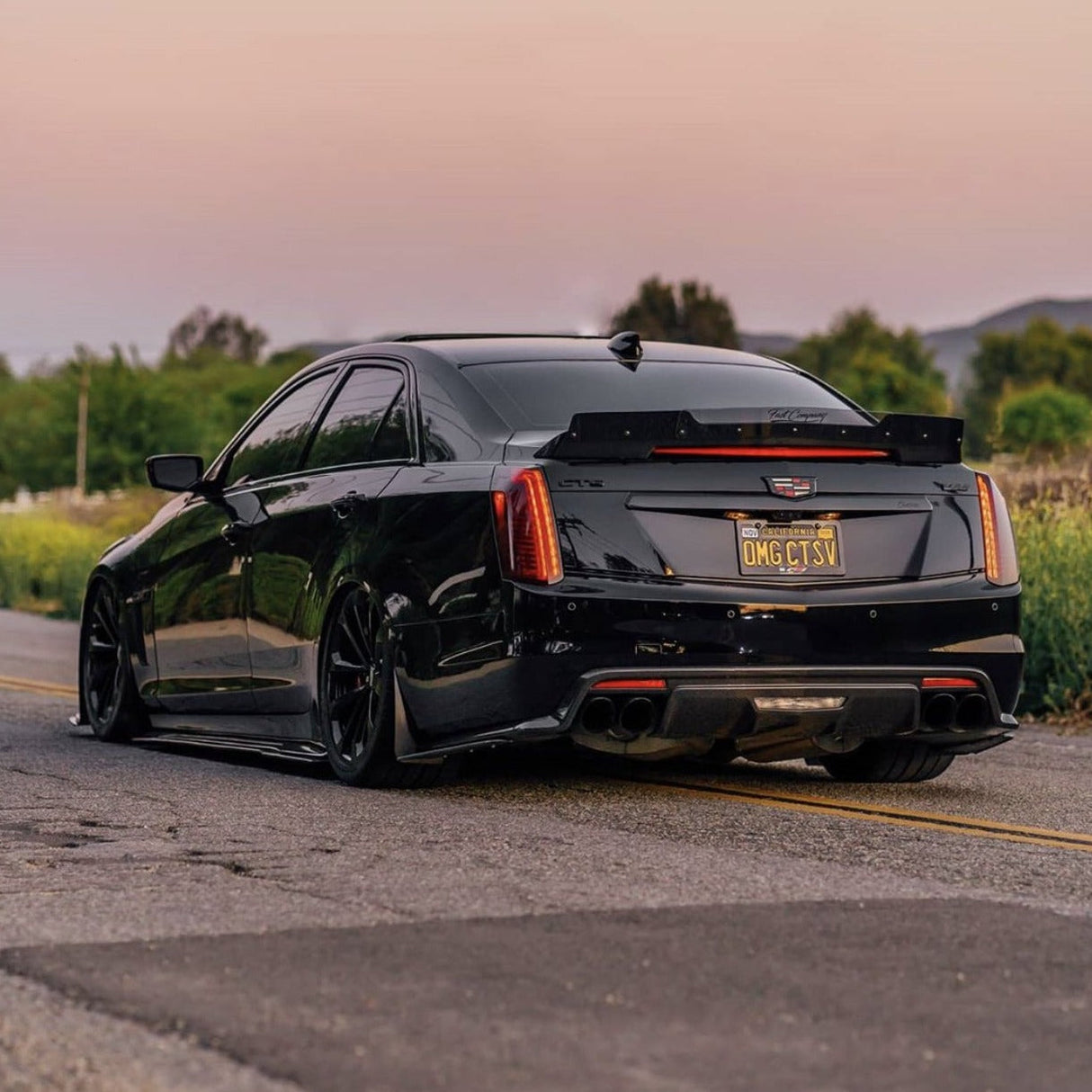 Cadillac CTS V (GEN 3) 16-19 Wicker Bill