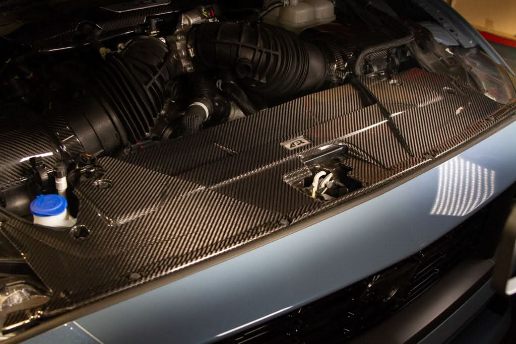 Ford Mustang S650 Carbon Fiber Cooling Plate 2024 - Current