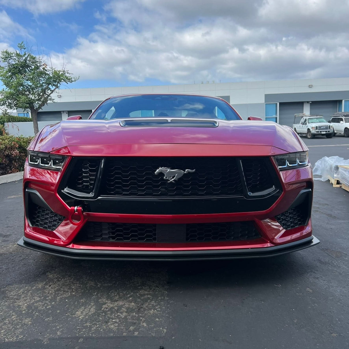 Mustang 24-25 GT/ECO Standard Body Kit
