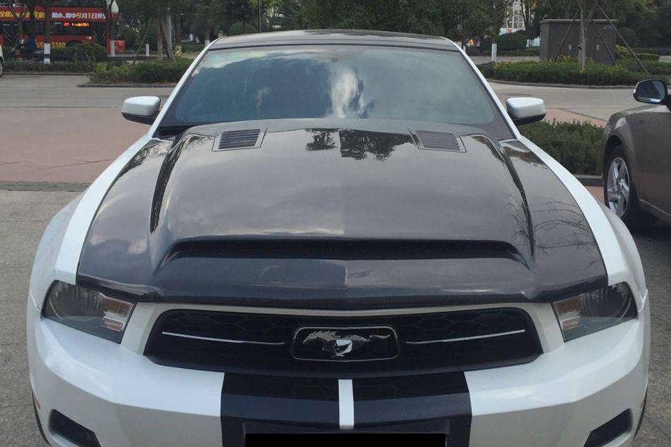 2005-2009 Ford Mustang GT V6 Black Momba BC1 Style Hood