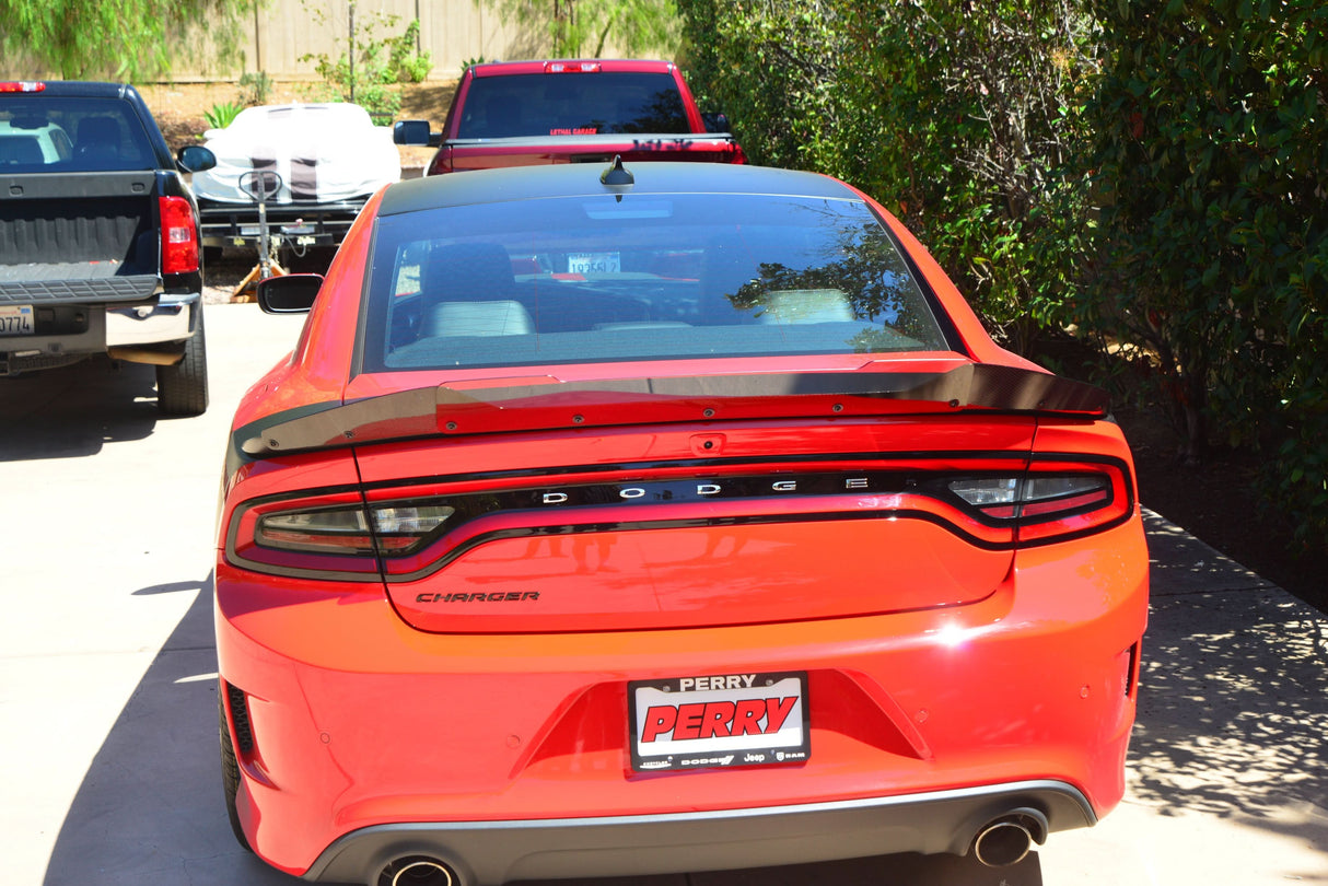 Charger 15-23 Carbon Fiber Wicker Bills
