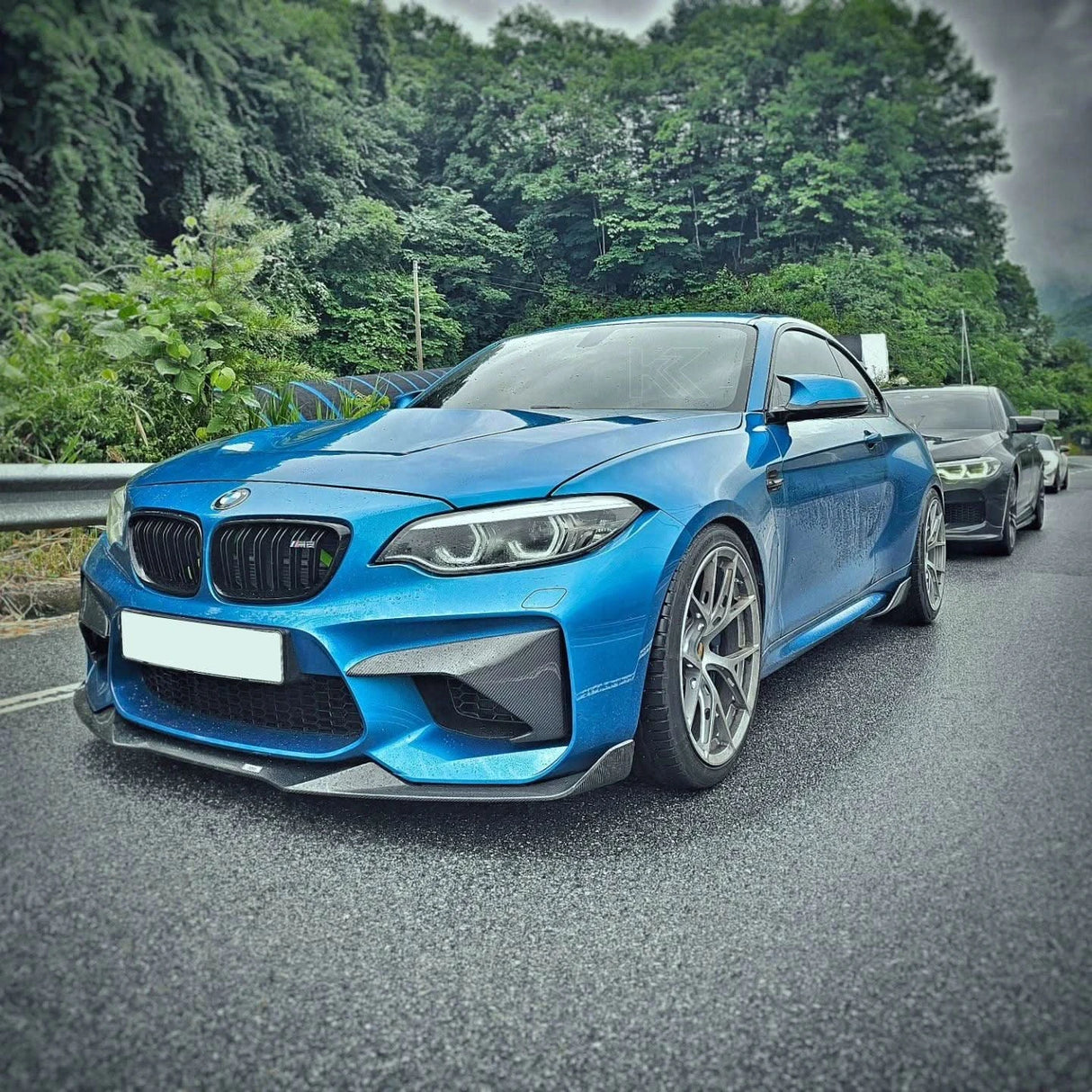 BMW 2 Series M2 F87 Carbon Fiber Front Flaps (2014 - 2021)