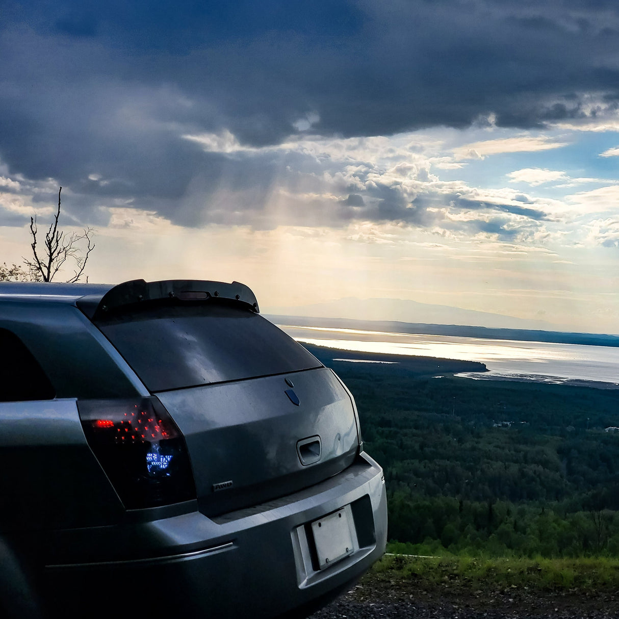 Magnum 05-08 Wicker Bill