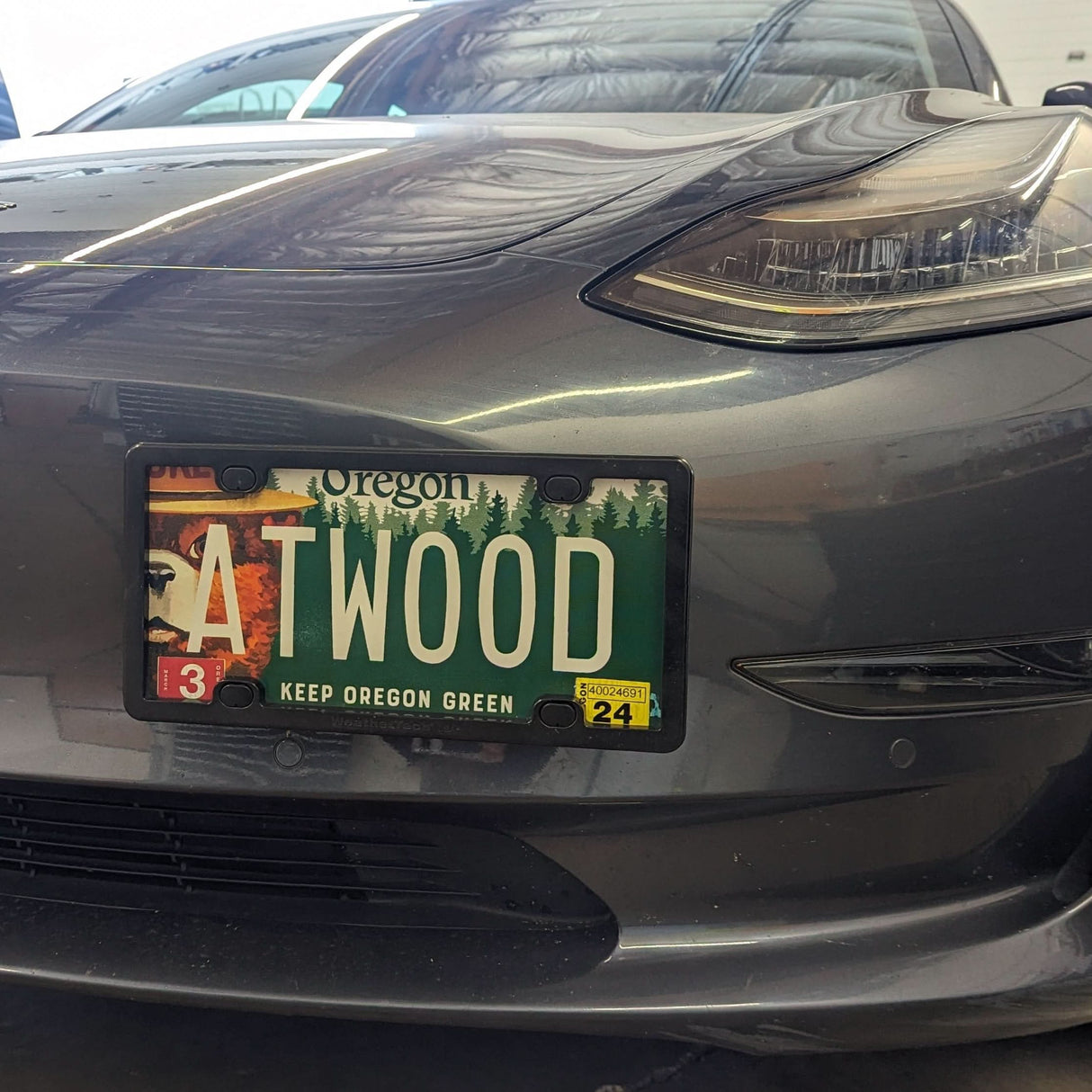 Tesla 17-26 Model 3 License Plate Holder