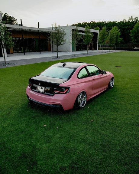 BMW 2-Series & M2 (F22 F23 F87) Red and Black Dragon Scale OLED Tail Lights - K2 Industries