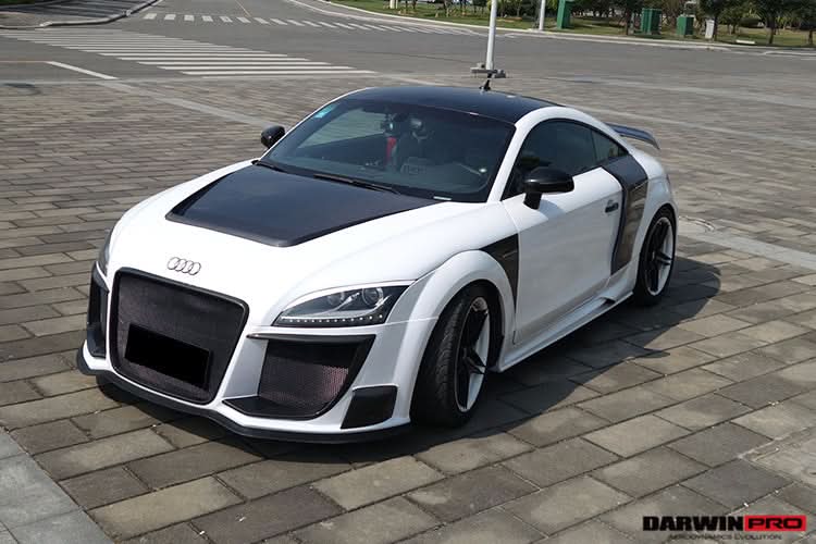 DarwinPRO 2006-2014 Audi TT & TTS DPRG Style Side Blades