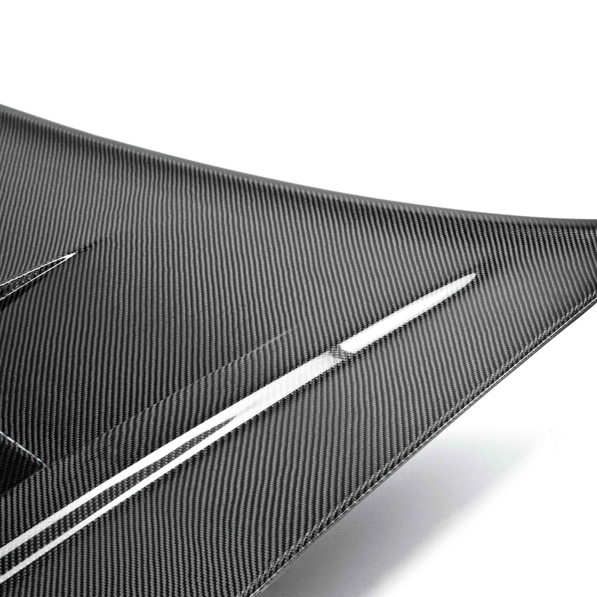 Type-TS carbon fiber hood for 2011-2014 Dodge Charger