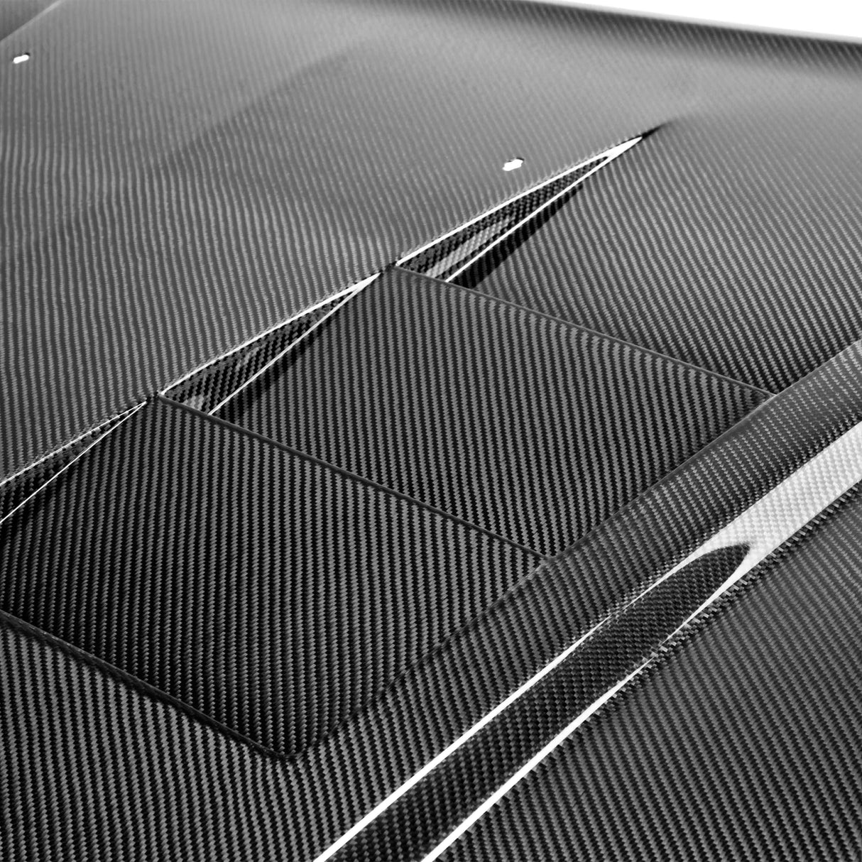 Type-TS carbon fiber hood for 2011-2014 Dodge Charger