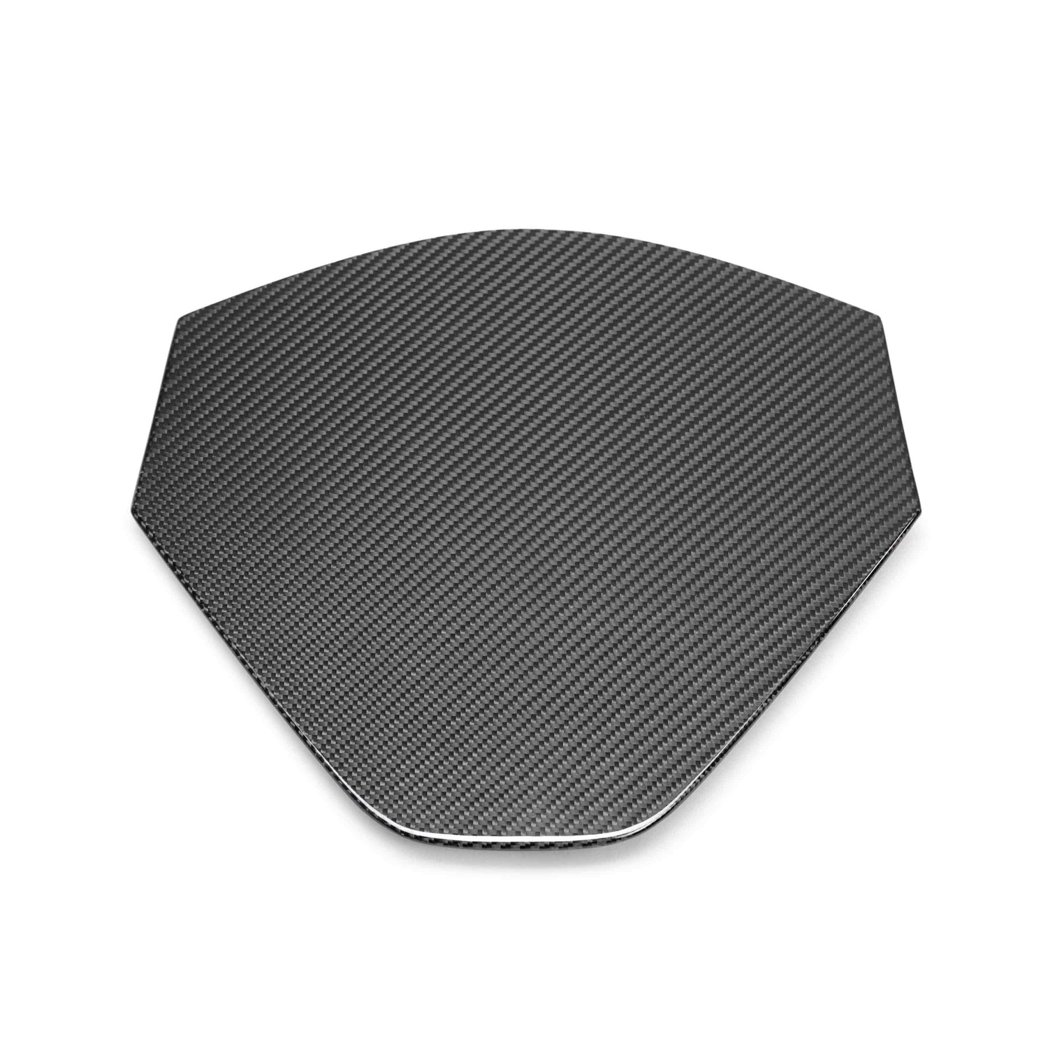 Carbon fiber decklid housing panel for 2020-2024 Chevrolet C8 (coupe)