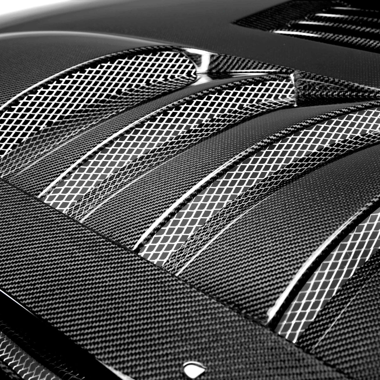 Type-SS carbon fiber hood for 2005-2009 Ford Mustang