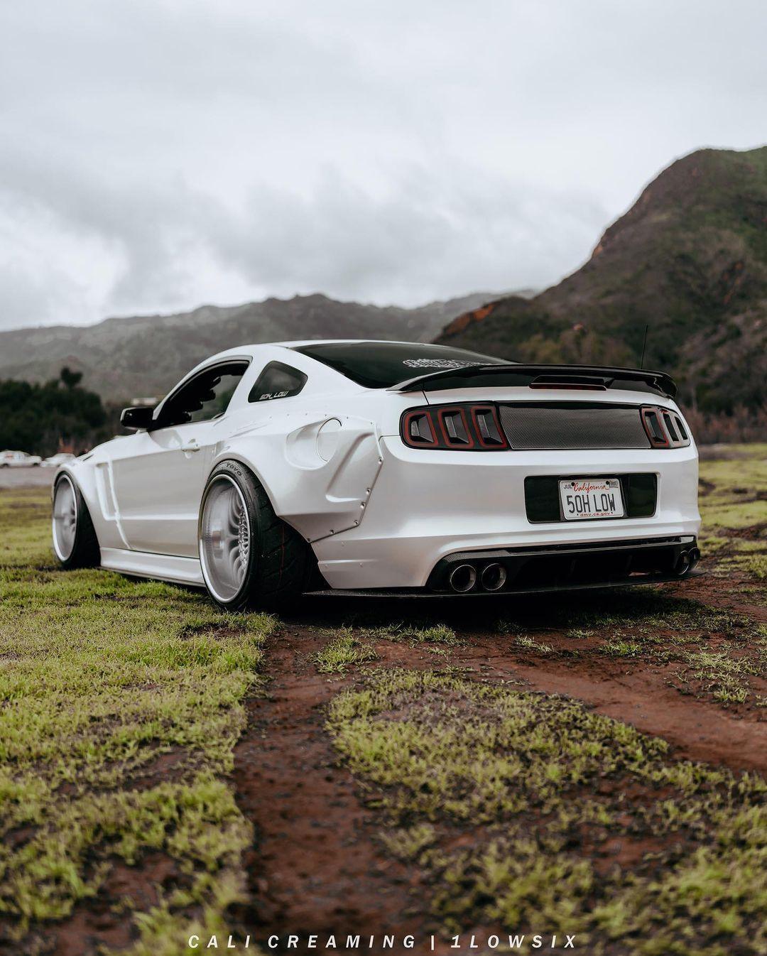 Mustang Widebody Kit | 2013-2014 GT S197 | SHIROKAI