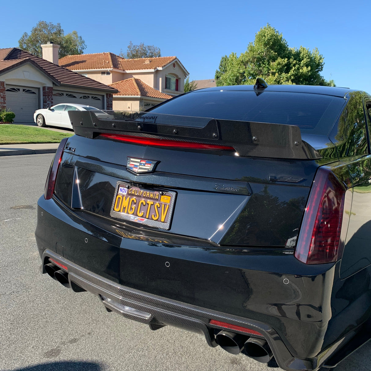 Cadillac CTS V (GEN 3) 16-19 Wicker Bill