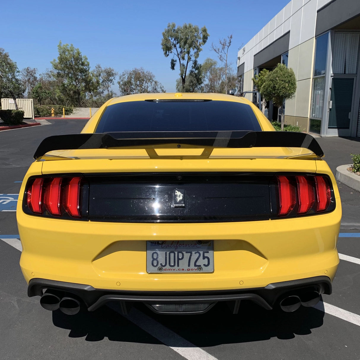Mustang 18-23 Performance Pack Wicker Bill