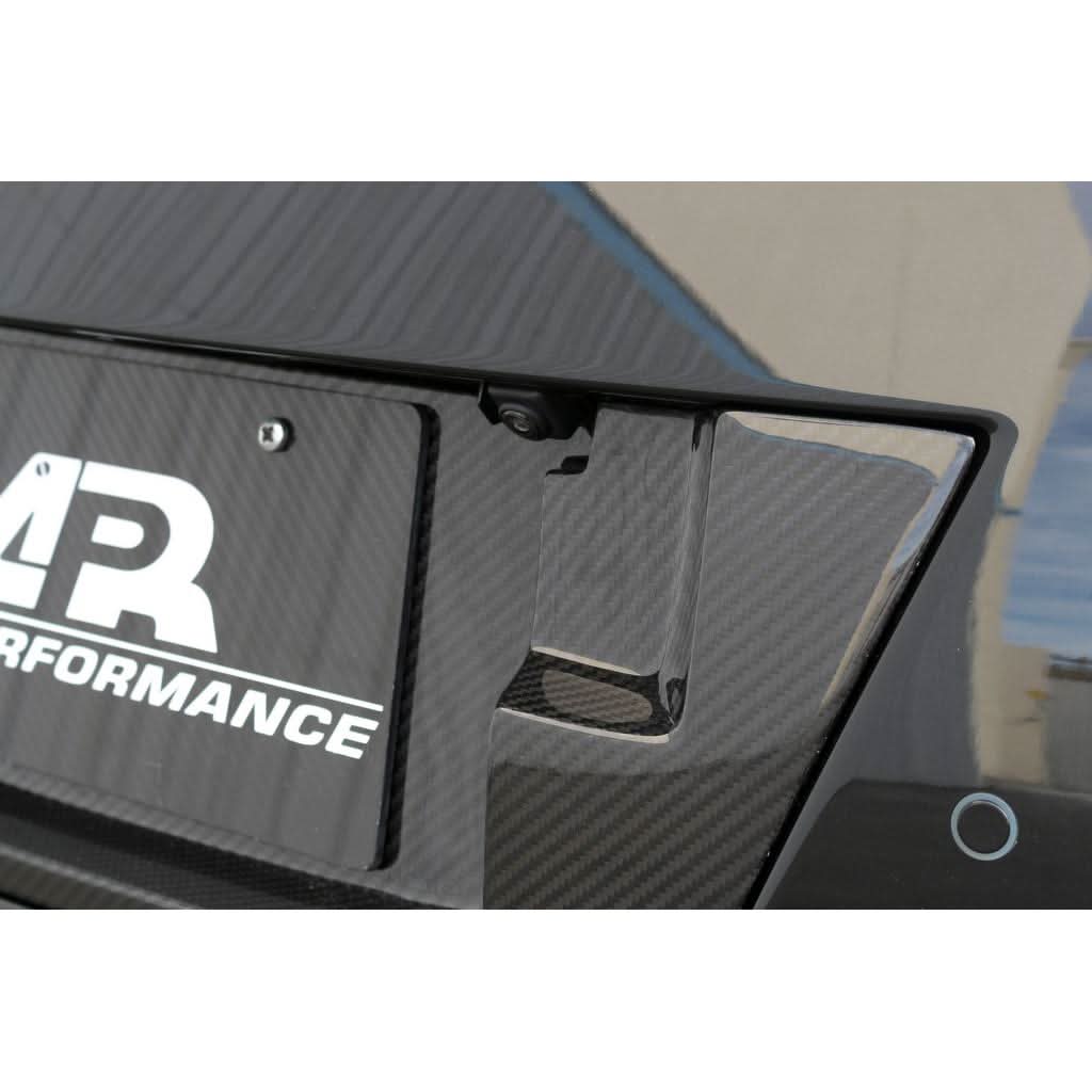 Carbon Fiber Nissan GTR R35 License Plate Backing 2017-2022