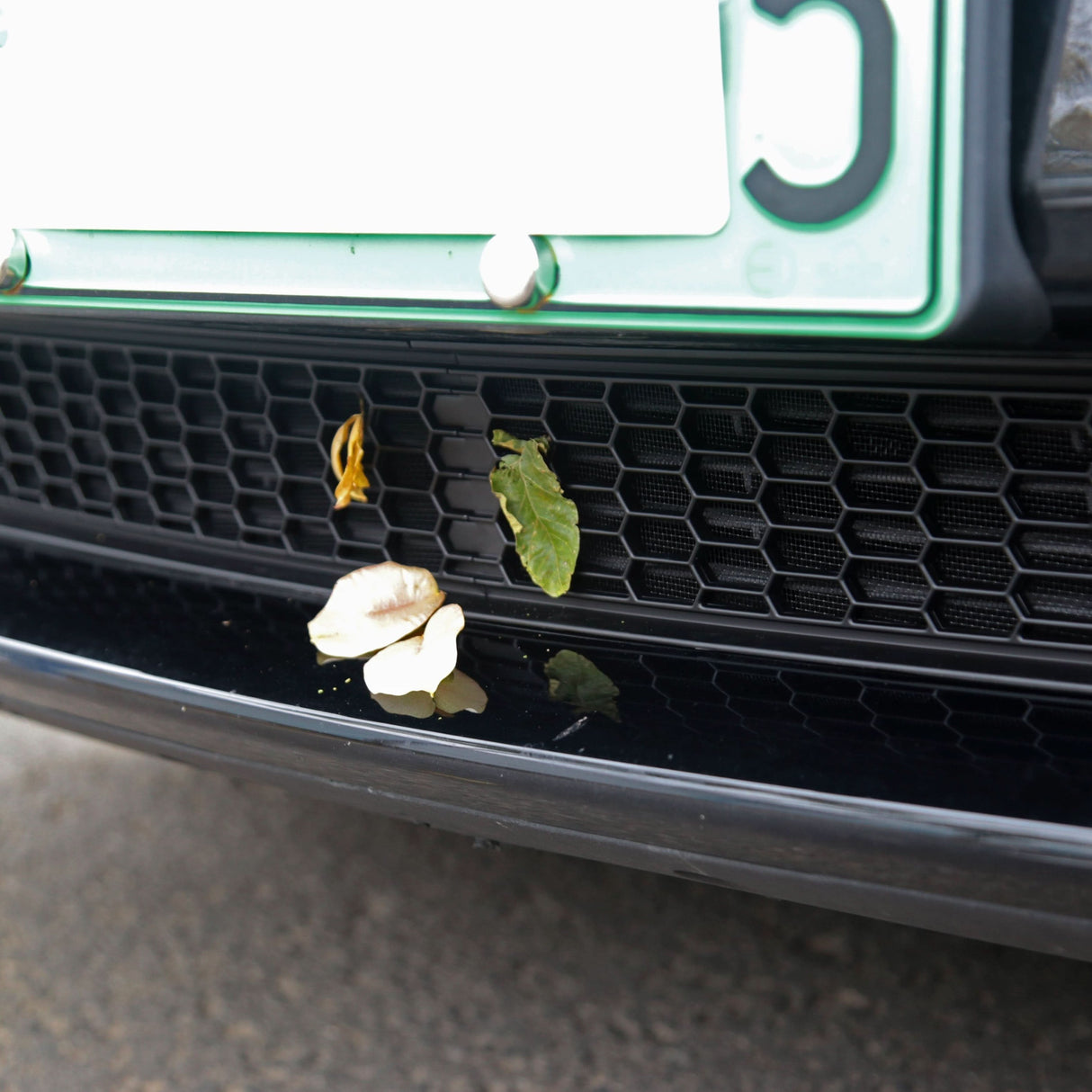 Insect Screens Suitable for Tesla Model 3