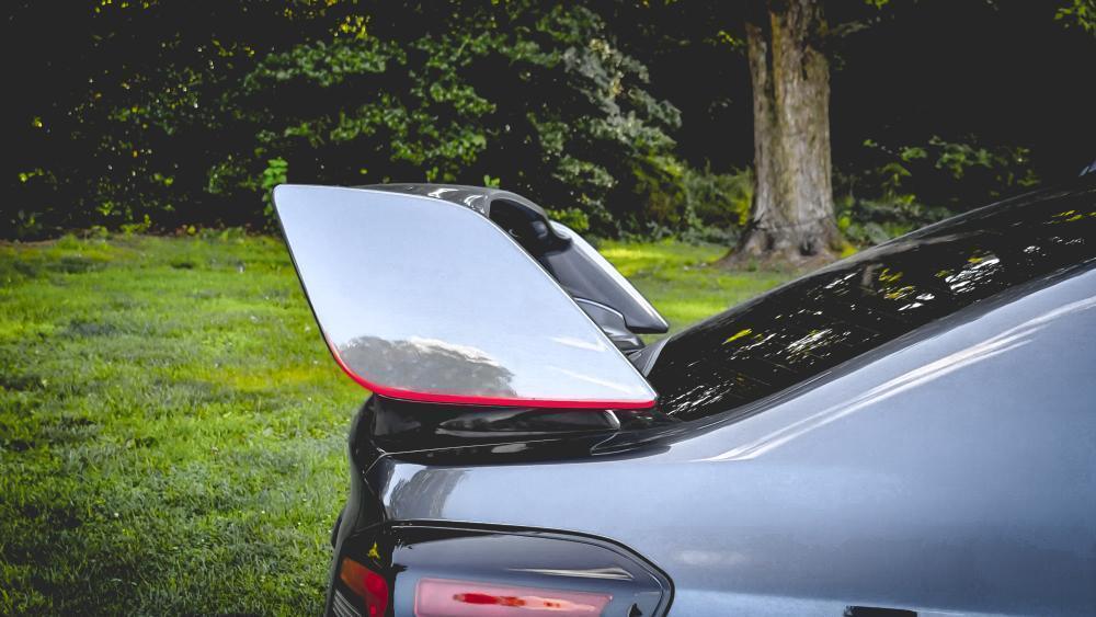 JDM Style STI Spoiler Pinstripe - 2015-2021 *WRX / STI