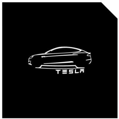 LED Logo Tesla Puddle Lights for Model 3/Y/S/X | TESERY