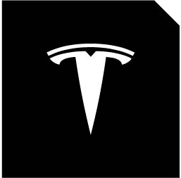 LED Logo Tesla Puddle Lights for Model 3/Y/S/X | TESERY