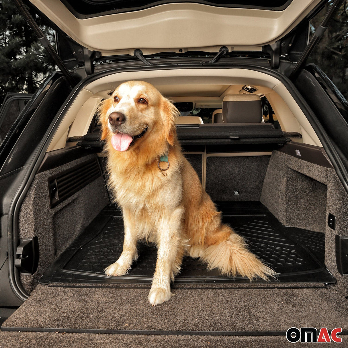 BMW Universal Floor Mats & Trunk Mat Waterproof Rubber TPE Black 6 Pcs