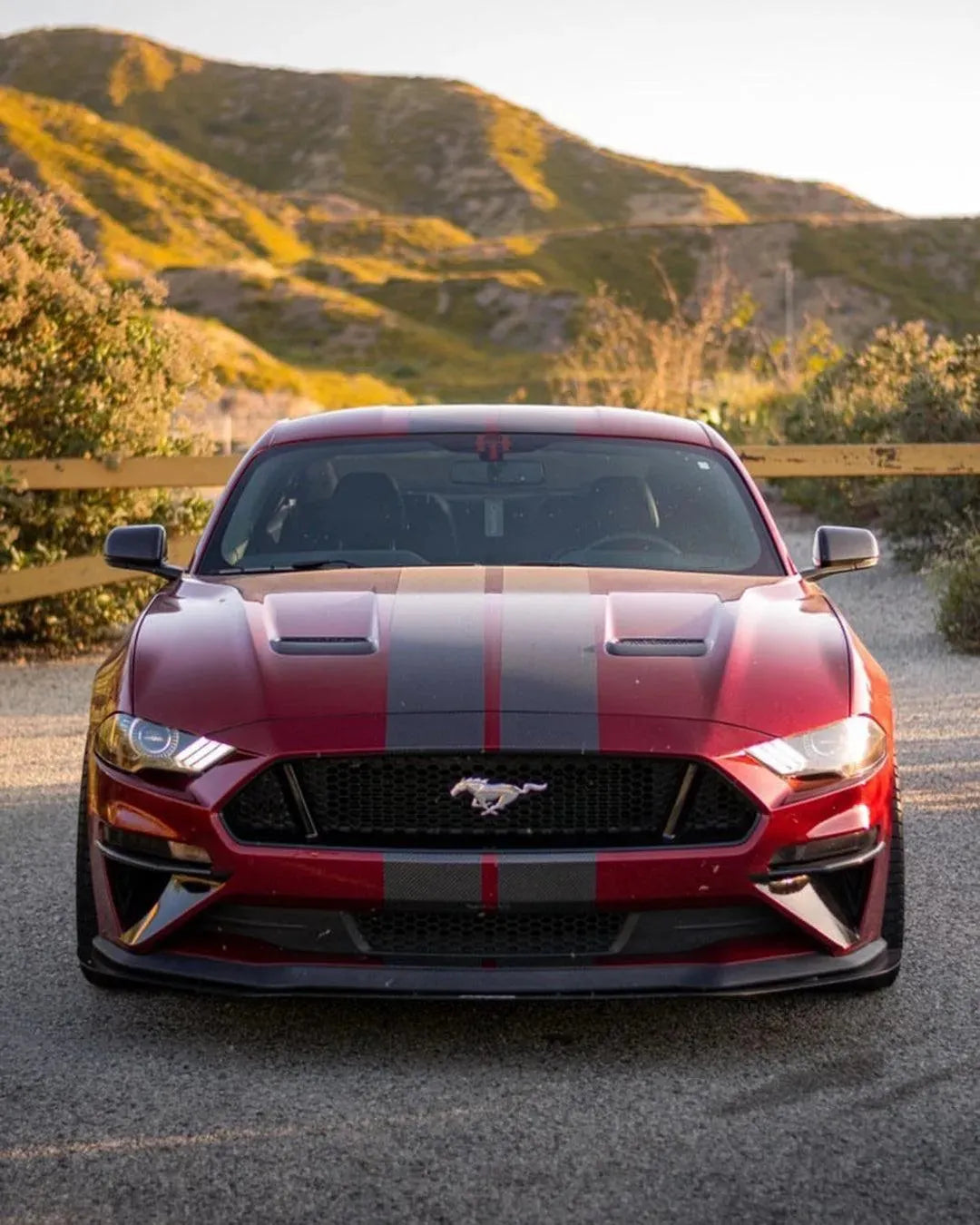 Mustang 2015-2023 Exterior Carbon Fiber Mirror Covers -US or EU Spec