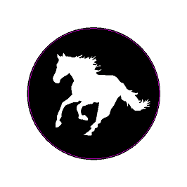 Printed Series Wheel Cap Overlays - 2021+ Bronco