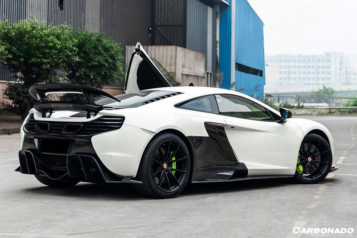 2014-2017 McLaren 650S OEM Style Carbon Fiber Tuning Veins Intake Blades