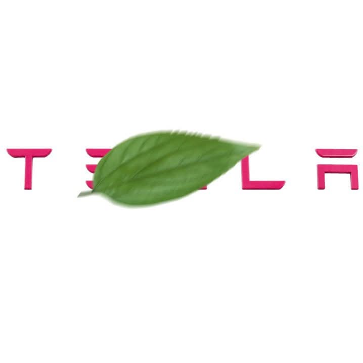 Tailgate Lettered Rear Logo Replacement For Tesla Model 3/Y