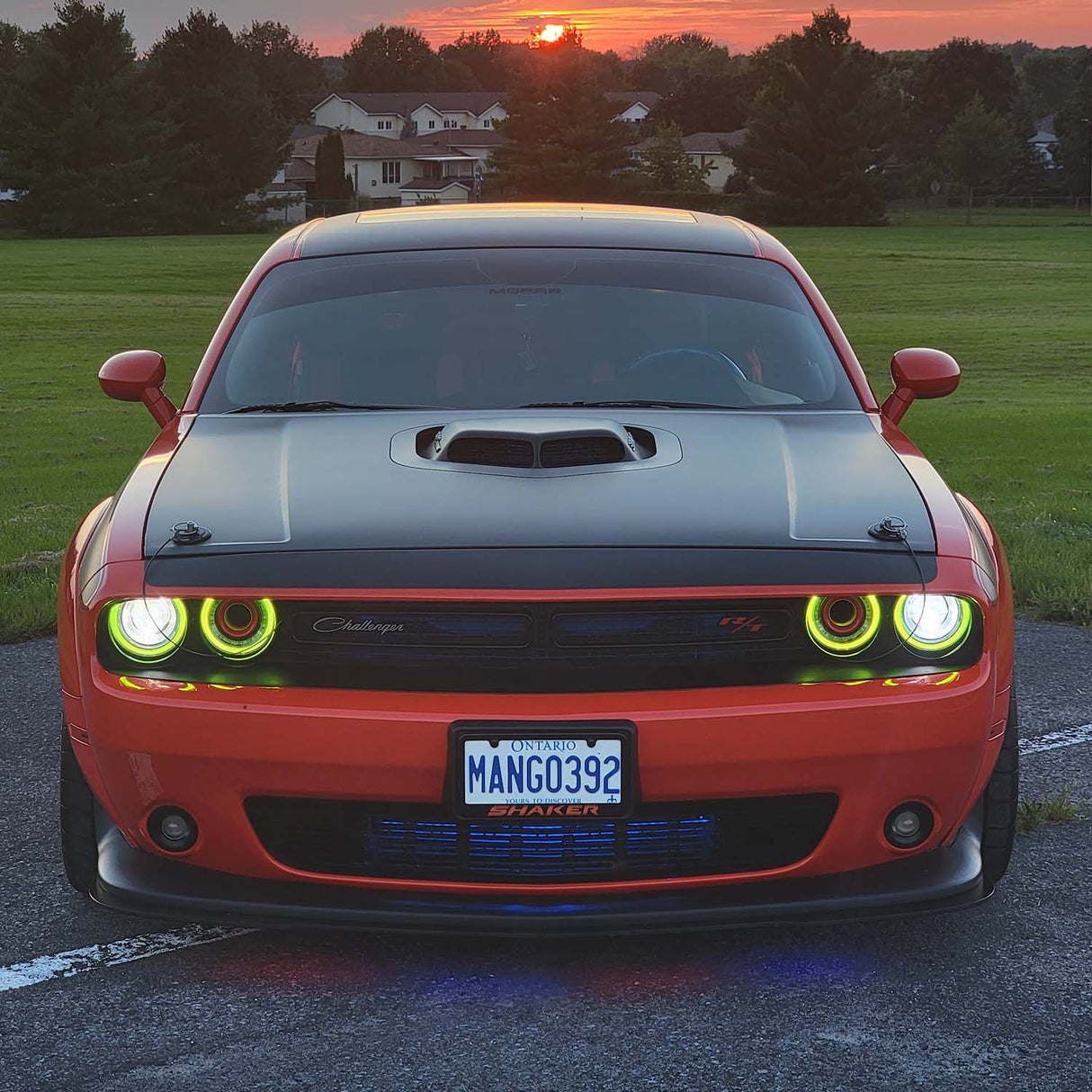 2008-2023 Dodge Challenger Shaker Style Hood - Vicrez