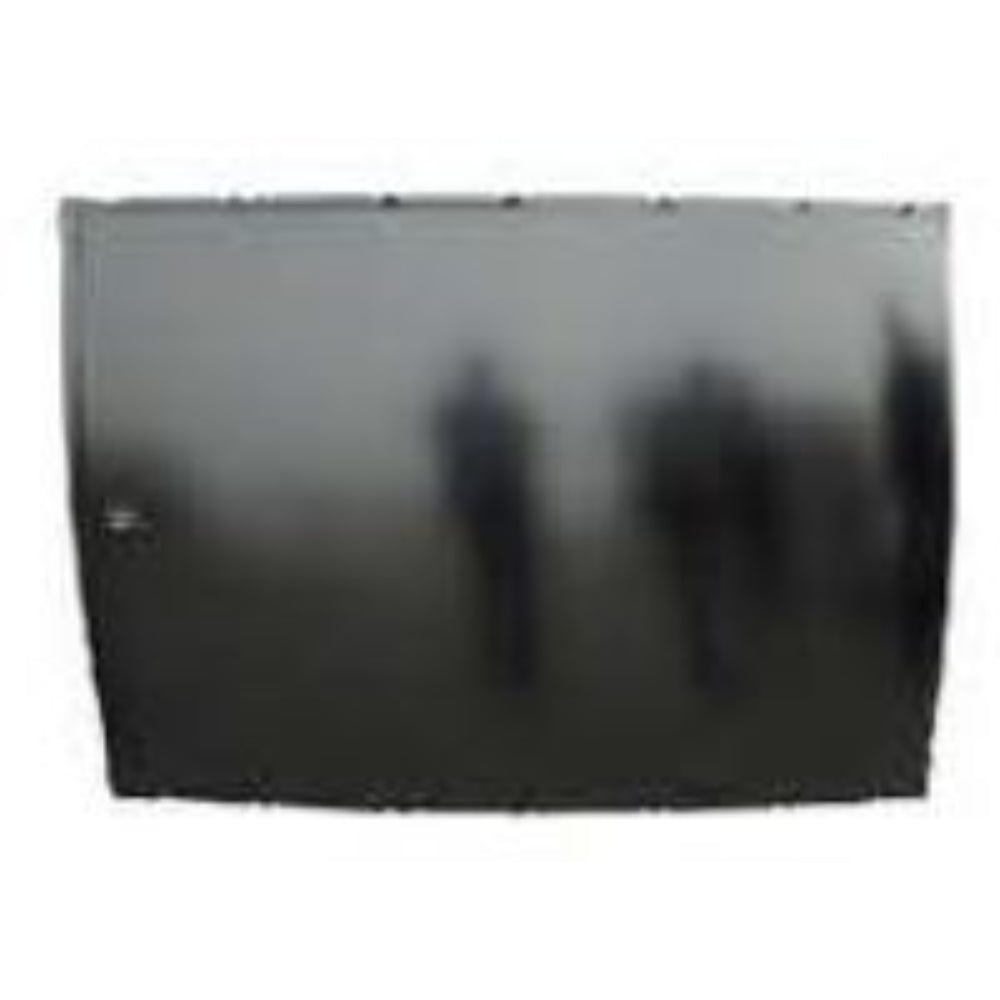 2017-2022 Hyundai Accent OE Replacement Roof - Vicrez